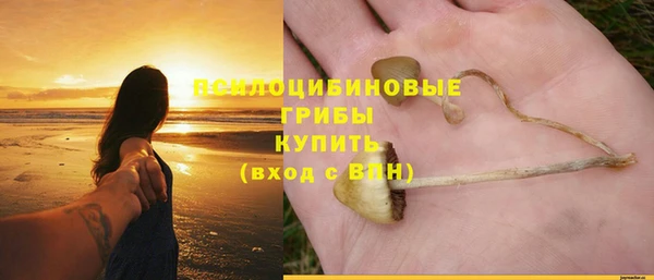 дмт Богданович